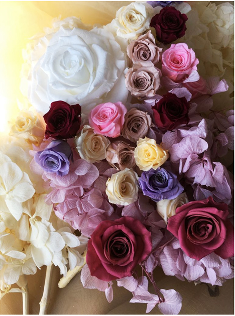 Elige flor, elige color, elige brillar Elige flor, elige color, elige brillar
